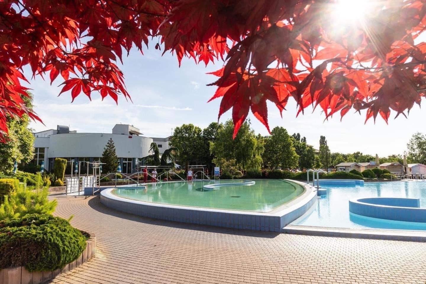 Dom Alex Pri Kupalisku Thermalpark Dunajská Streda المظهر الخارجي الصورة
